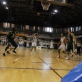 Amics del Bàsquet