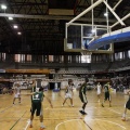 Amics del Bàsquet