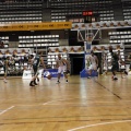 Amics del Bàsquet