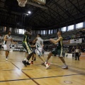 Amics del Bàsquet