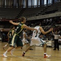 Amics del Bàsquet
