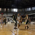 Amics del Bàsquet
