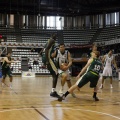 Amics del Bàsquet