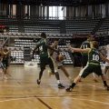 Amics del Bàsquet