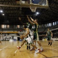 Amics del Bàsquet