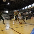 Amics del Bàsquet