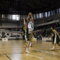 Amics del Bàsquet