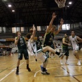 Amics del Bàsquet