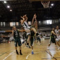 Amics del Bàsquet