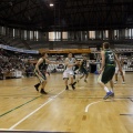Amics del Bàsquet