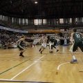 Amics del Bàsquet
