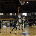 Amics del Bàsquet