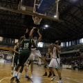 Amics del Bàsquet
