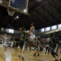 Amics del Bàsquet