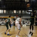 Amics del Bàsquet