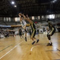 Amics del Bàsquet