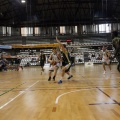 Amics del Bàsquet