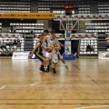 Amics del Bàsquet