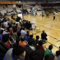 Amics del Bàsquet