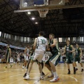 Amics del Bàsquet