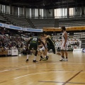 Amics del Bàsquet