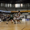 Amics del Bàsquet