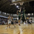 Amics del Bàsquet