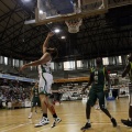 Amics del Bàsquet