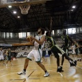 Amics del Bàsquet