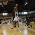 Amics del Bàsquet