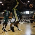 Amics del Bàsquet