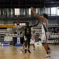 Amics del Bàsquet