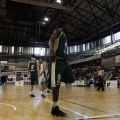 Amics del Bàsquet