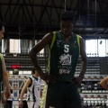 Amics del Bàsquet