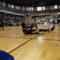 Amics del Bàsquet