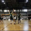 Amics del Bàsquet