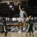 Amics del Bàsquet