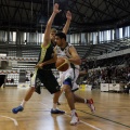 Amics del Bàsquet