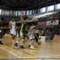 Amics del Bàsquet