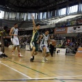 Amics del Bàsquet
