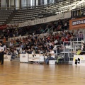 Amics del Bàsquet