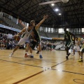 Amics del Bàsquet