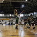 Amics del Bàsquet