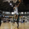 Amics del Bàsquet