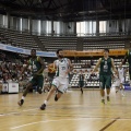 Amics del Bàsquet