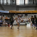 Amics del Bàsquet