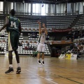 Amics del Bàsquet