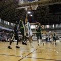 Amics del Bàsquet