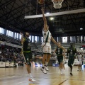 Amics del Bàsquet