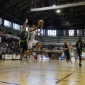 Amics del Bàsquet